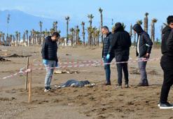 Antalya'da, sahilde 6 günde 8 ceset bulundu