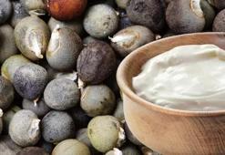 Yoğurt ile bamya ikilisi şifayı kat kat artıyor! Ne kireç kalıyor ne de stres