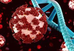 Zombi virüsü nedir, gerçek mi 2024? Yeni virüs mü çıktı 2024, Zombi virüsü Türkiye'de var mı, ne yapar?