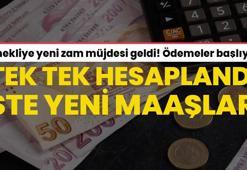 Emekliye ek zam müjdesi geldi! Hesaba yatıyor, işte yeni zamlı emekli maşaları