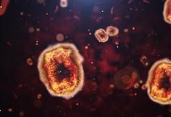 Farzımuhal hastalık nedir, farzımuhal ne demek? TDK’ya göre farzımuhalın anlamı