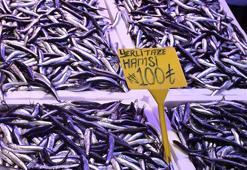 Hamside 'fırtına' ve 'soğuk hava' etkisi