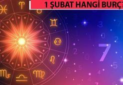 1 Şubat hangi burç? Şubat ayı burçlarının yükseleni ve özellikleri