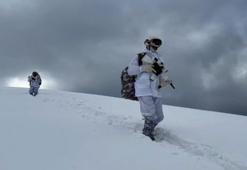 7 ilde terör örgütüne operasyon; çok sayıda silah ele geçirildi