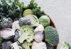 Östrojen İçeren Besinler Nelerdir? En Çok Östrojen Barındıran Gıdalar Listesi...