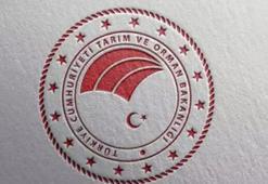 Tarım ve Orman Bakanlığı 7000 personel alımı 2024! KPSS 2023/4 tercih kılavuzu yayımlandı: Tarım ve Orman Bakanlığı personel alımı 2024 başvuru tarihi ve şartları