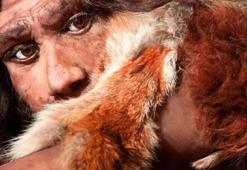 Neanderal Nedir, Kimdir? Neandertallerin Özellikleri Nelerdir?