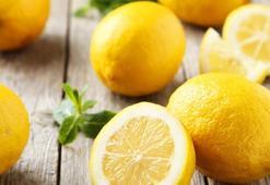 Limon sosu yasaklandı mı? Limon sosu ile limon suyu arasındaki fark nedir, limon sosu neden yasaklandı? Resmi Gazete limon sosu kararı