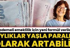 Kademeli emeklilik için yeni formül verildi! 'Emekli maaşı yaş ile paralel artabilir'