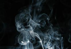 “Tütün kullanımı, kansere neden olan en önemli önlenebilir risk faktörü”