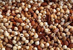 Lektin ne demek? Lektin hangi besinlerde bulunur, lektin içermeyen besinler neler? İşte Çağla Şıkel’in beslenme programında öne çıkan lektin içeren besinler