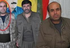 MİT, PKK/HPG'nin sözde konsey üyesini etkisiz hale getirdi