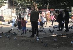 Adana’da kışın ortasında bahar havası! Sokaklar doldu taştı