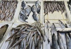 Balık sofraya ulaşıncaya kadar fiyatı yüzde 200 artıyor! Karidese dikkat