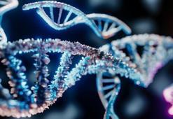 Sentrozom Nedir, Özellikleri Nelerdir? Sentrozomun Görevleri Nelerdir?