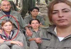 MİT'ten Suriye'de operasyon! 10 şehidin faili etkisiz hale getirildi