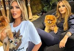 Seren Serengil köpeğini kaybetti! ‘O benim sadece köpeğim değil, her şeyimdi’