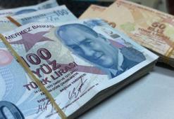 Tarım ve Orman Bakanlığı müjdeyi duyurdu! Çiftçiye 50 milyon 900 bin TL destek ödemesi