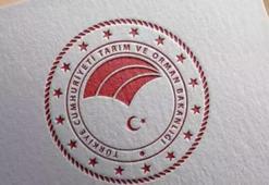 Tarım ve Orman Bakanlığı kura sonuçları! Tarım ve Orman Bakanlığı işçi alımı kura sonuçları nasıl sorgulanır? İŞKUR Tarım ve Orman Bakanlığı işçi alımı sonuçları