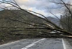 Adana için Meteoroloji'den uyarı yapıldı! Kuzeyli yönlerden kuvvetli rüzgar gelecek