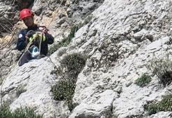 Adana Kozan'da dağda mahsur kalan keçi böyle kurtarıldı