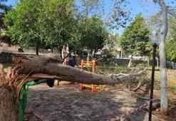 Meteoroloji Adana için alarm verdi! Fırtına bekleniyor