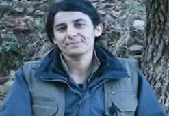MİT, PKK/KCK'nın sözde sorumlusunu etkisiz hale getirdi