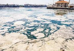 Marmara Denizi'nde büyük tehlike!  'Yeniden göreceğiz'