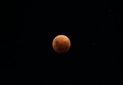 2024'ün ilk Ay Tutulması geliyor! Ay Tutulması ne zaman?