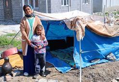 Şiddete uğrayan kadına devlet sahip çıktı