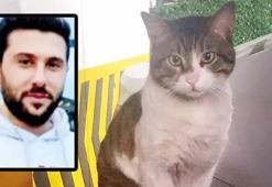 Türkiye bu vahşeti konuşuyor! Kedi Eros'un katili İbrahim Keloğlan'ın cezası belli oldu