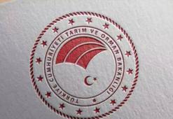 Tarım ve Orman Bakanlığı görevde yükselme sınavı ne zaman? Tarım Bakanlığı unvan değişikliği sınavı olacak mı?