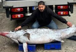 Karataş’ta 150 kiloluk kılıç balığı yakalandı! Satışa çıkarılacak