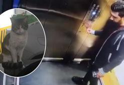 Kedi Eros'u öldüren sanığa verilen cezaya savcılık itiraz edecek