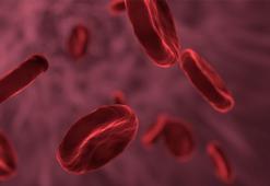 Hücreden AIDS’e neden olan HIV virüsünü çıkarttılar!