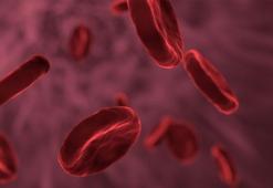 Nobel ödüllü yöntemle hücreden AIDS’e neden olan HIV virüsünü makas gibi kesip attılar