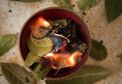 21 Mart ekinoks ritüelleri || 21 Mart'ta defne yaprağı yakmak ritüeli nasıl yapılır? İşte 21 Mart defne yaprağı ritüeli