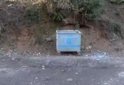 Belgrad Ormanı'ndaki kayıp cesetlerin sırrı ne?