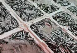 Av yasağına sayılı günler kala balık tezgâhları şenlendi
