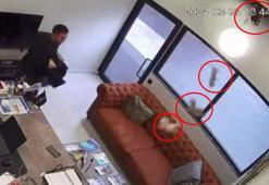 Ofisin tavanındaki lamba boşluğundan düşen yavru kedileri ceketiyle tutmaya çalıştı