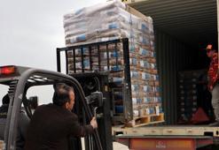 Dünyanın tohum merkezine yerli ve milli hibrit ayçiçeği tohumu ihracatı