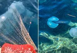 Akdeniz'de büyük tehlike! Balıkçı ağlarını yırtıp geçiyor, balık sayısı azaldı