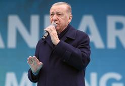 Cumhurbaşkanı Erdoğan: Roman kardeşlerim sandıkta en güzel cevabı verecek