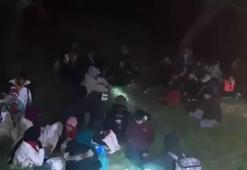 20 göçmen kaçakçılığı organizatörü ve 559 düzensiz göçmen yakalandı