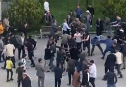 Muhtarlık kavgasında ağaç dallarını kırarak birbirine saldırdılar