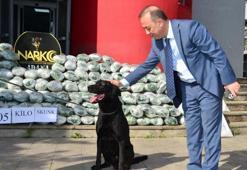 Saman balyalarının arasında 305 kilo uyuşturucu çıktı! Tutuklandı