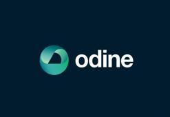Odine ne zaman tavan bozar? Odine tavanda bekleyen lot sayısı