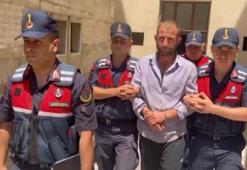 'Orman sevdalısıyım' demişti; orman yakmaktan aldığı ceza belli oldu
