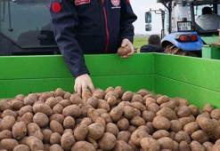 Adana’da turfanda patates hasadı başladı! Kilo fiyatı ortaya çıktı