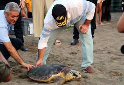 Bayramda tatilcilere uyarı geldi! Beslemeyin